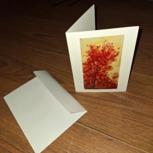 Fall Spirit Greeting Card - 4pk